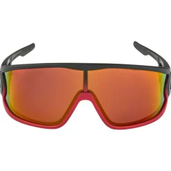 Alpina - Legend Q-Lite Cat. 3 - Sonnenbrille