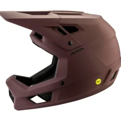 Alpina - Pikes Mips - Radhelm