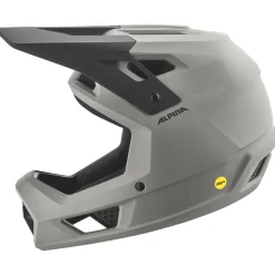 Alpina - Pikes Mips - Radhelm