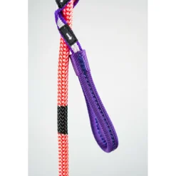 - Escaper><noscript><img width=