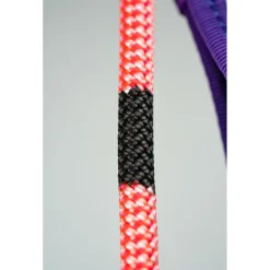 - Escaper><noscript><img width=