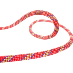 New - Tiger 10 mm Golden Dry - Einfachseil Einfachseile