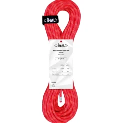 - Wall Cruiser 9,6 mm - Einfachseil><noscript><img width=