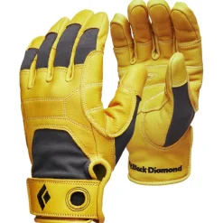 Black Diamond - Transition Gloves