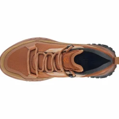 - Women's ULT-TRN Low Waterproof - Multisportschuhe><noscript><img width=