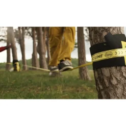 - Treewear - Baumschutz><noscript><img width=