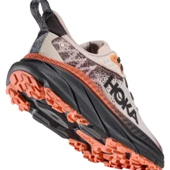 - Women's Challenger 7 GTX - Trailrunningschuhe><noscript><img width=