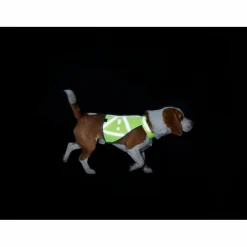 Hunter - Warnweste reflektierend - Hundemantel^ Hundemäntel