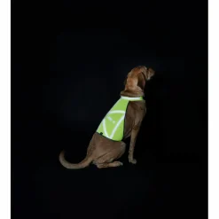 Hunter - Warnweste reflektierend - Hundemantel^ Hundemäntel