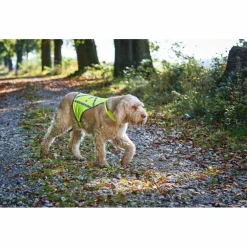 Hunter - Warnweste reflektierend - Hundemantel^ Hundemäntel
