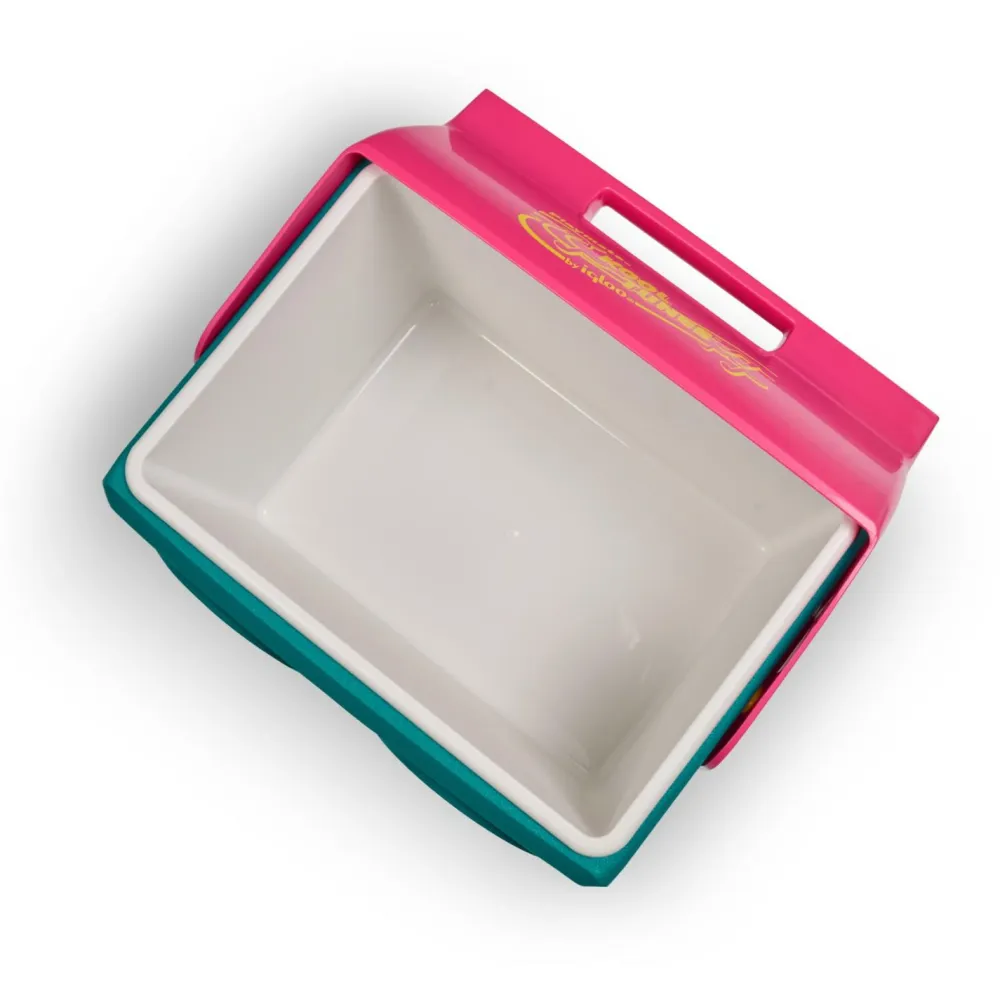 - Playmate Classic Kool Tunes - Kühlbox>IGLOO Hot