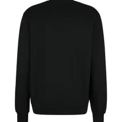 Iriedaily - Mini Flag 2 Crew - Pullover^ Alltagsbekleidung|Pullover & Hoodies