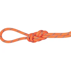 Best - 7.5 Alpine Sender Dry Rope - Halbseil Halbseile