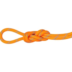Mammut - 8.7 Alpine Sender Dry Rope - Einfachseil