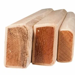 - Campus Rungs Set - Trainingsleisten><noscript><img width=