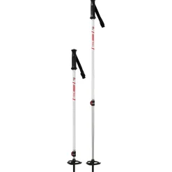 MSR - DynaLock Trail Poles - Skitourenstöcke