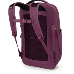 Osprey - Ozone Laptop Backpack 18 - Daypack^ Daypacks|Daypacks