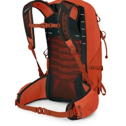 - Talon Pro 20 - Wanderrucksack><noscript><img width=