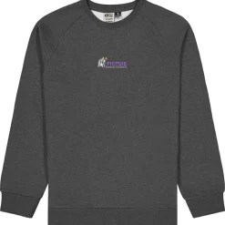 Picture - Toanah Crew - Pullover^ Pullover & Hoodies|Alltagsbekleidung