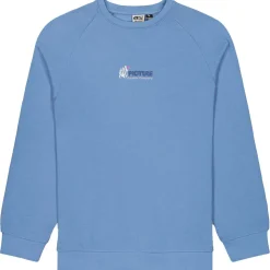 Picture - Toanah Crew - Pullover^ Pullover & Hoodies|Alltagsbekleidung