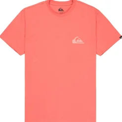 - EV Mini Logo S/S - T-Shirt>Quiksilver
