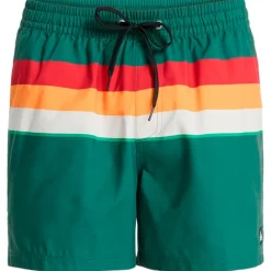 - Everyday Printed Volley 15'' - Badehose>Quiksilver Clearance