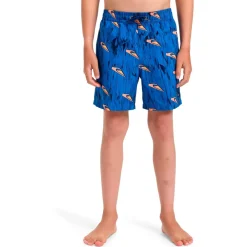 Quiksilver - Kid's Next Gen Volley 14 - Boardshorts^ Bademode