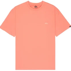 Quiksilver - Salt Water S/S - T-Shirt