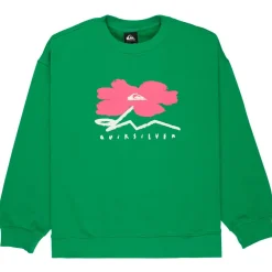 Sale - Women's Standard Crew - Pullover Pullover & Hoodies|Alltagsbekleidung