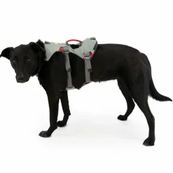 - Doubleback Harness - Hundegeschirr><noscript><img width=