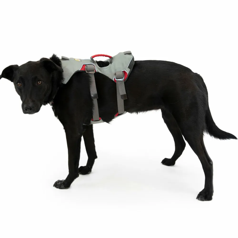 - Doubleback Harness - Hundegeschirr>Ruffwear