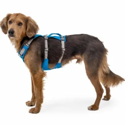 Ruffwear - Flagline Harness - Hundegeschirr^ Hundegeschirr