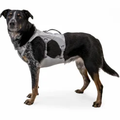 Outlet - Swamp Cooler Harness - Hundegeschirr Hundegeschirr