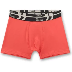 Sanetta - Kid's Set Shorts 349396 3-Pack - Unterhose^Kinder Alltagsbekleidung|Unterwäsche