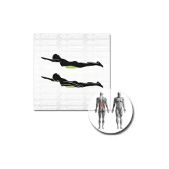 Schildkru00f6t Fitness Schildkröt Fitness - Balance-Kissen Inflatable^ Fitness-Ausrüstung|Trainingsgeräte