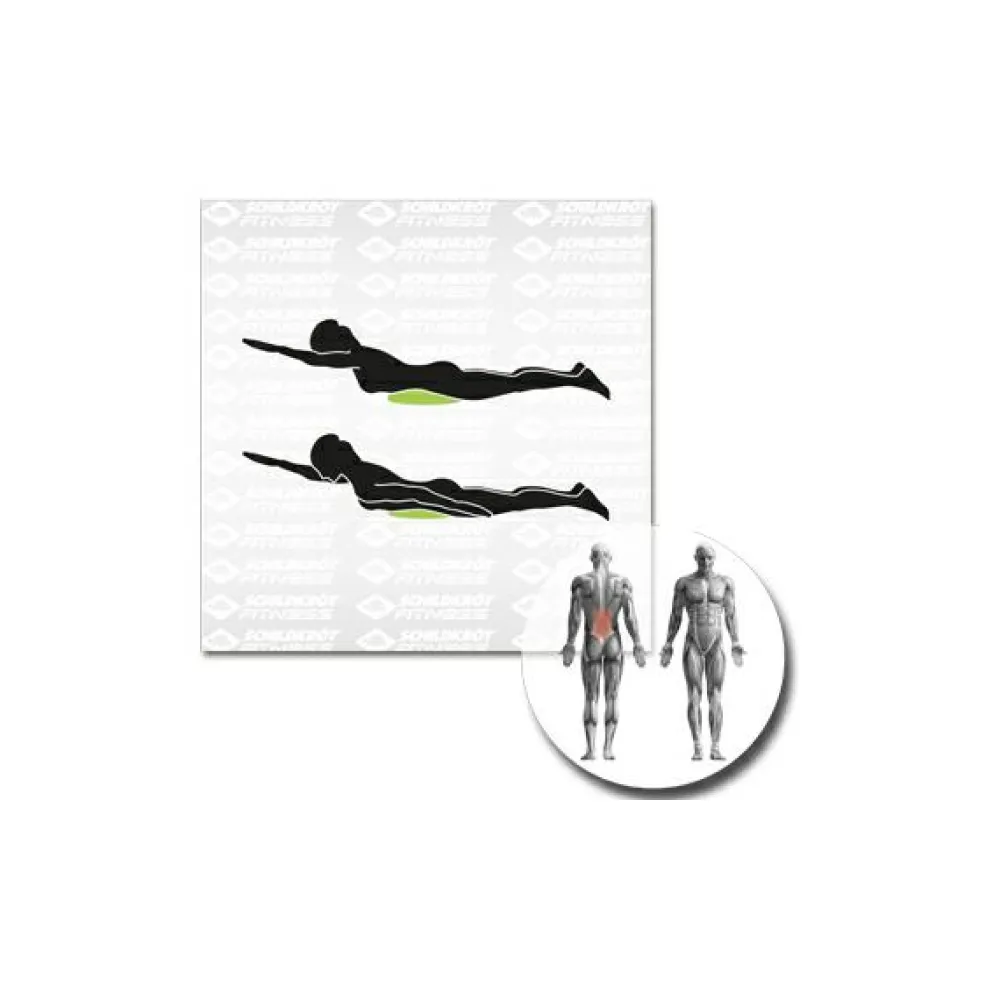 Schildkru00f6t Fitness Schildkröt Fitness - Balance-Kissen Inflatable^ Fitness-Ausrüstung|Trainingsgeräte