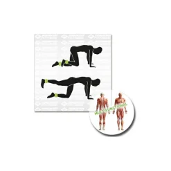 Schildkru00f6t Fitness Schildkröt Fitness - Gewichtsmanschette