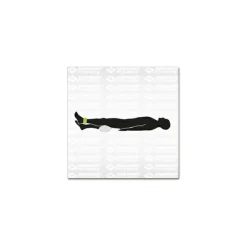 Schildkru00f6t Fitness Schildkröt Fitness - Gewichtsmanschette