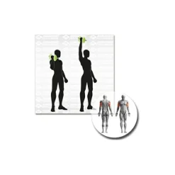 Schildkru00f6t Fitness Schildkröt Fitness - Kurz-Hantelset^ Fitness-Ausrüstung|Trainingsgeräte