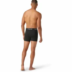Best - Boxer Brief Boxed - Merinounterwäsche Wanderbekleidung|Merinounterwäsche