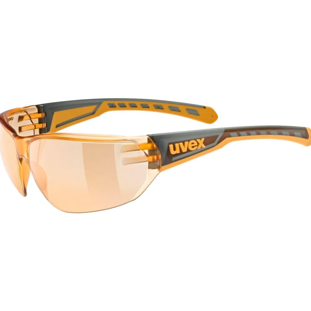 - Equate Cat. 1 (VLT 72%) - Sonnenbrille>Uvex New