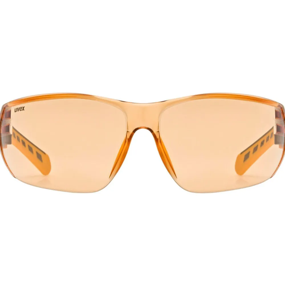 - Equate Cat. 1 (VLT 72%) - Sonnenbrille>Uvex New