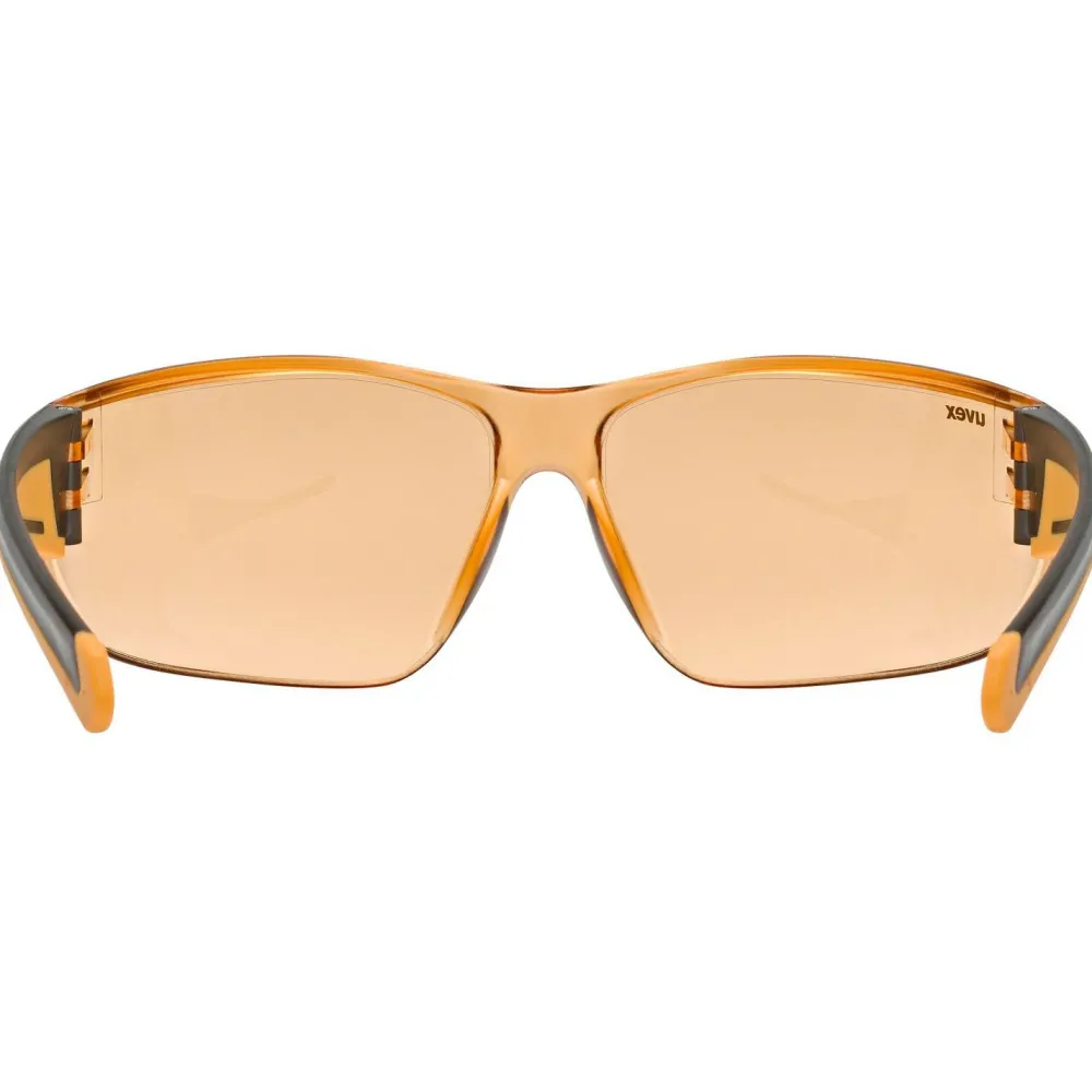 - Equate Cat. 1 (VLT 72%) - Sonnenbrille>Uvex New