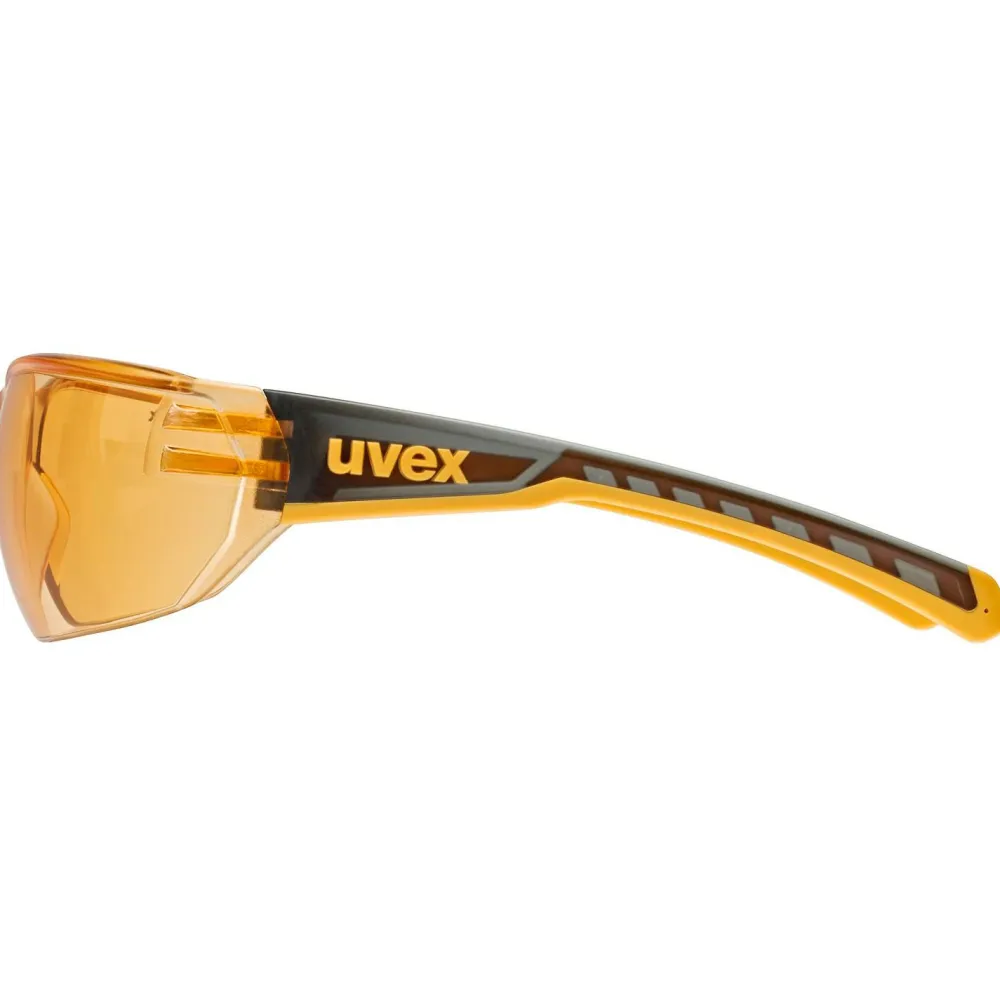 - Equate Cat. 1 (VLT 72%) - Sonnenbrille>Uvex New